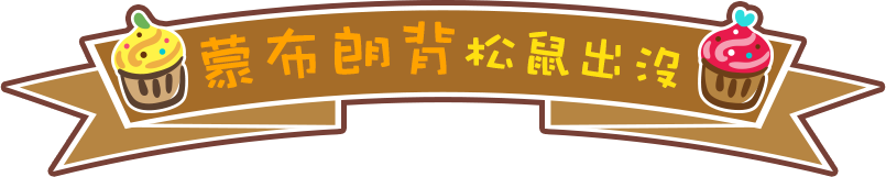 蒙布朗背 松鼠出沒